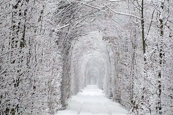 Khi mùa đông bao phủ "đường hầm tình yêu" (Ảnh: Internet)