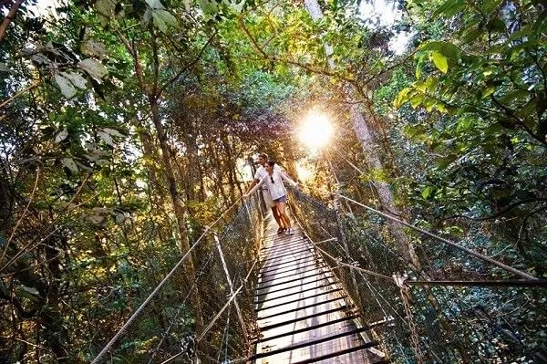 Lamington national park