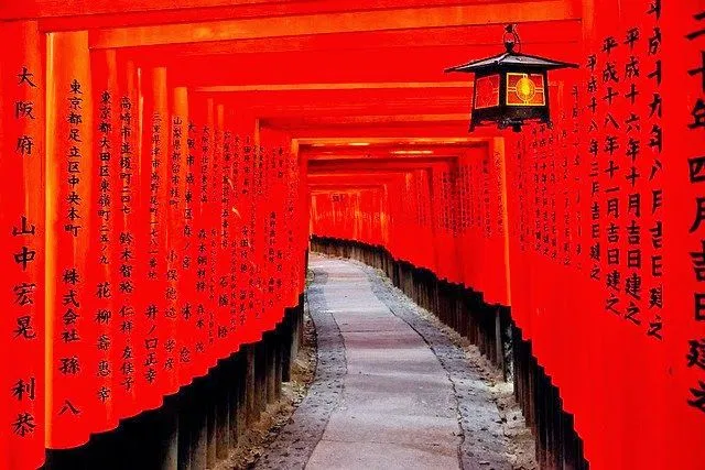 fushimi inari in japan