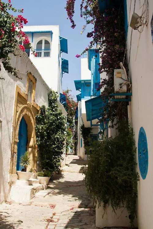 Nhà ở Tunis