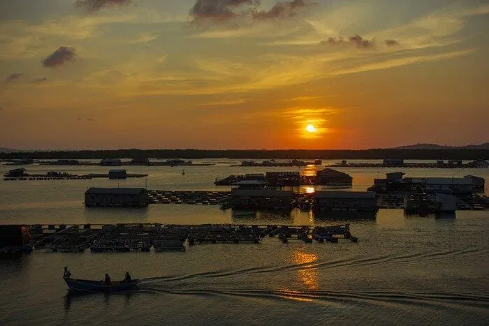 Làng bè Long Sơn