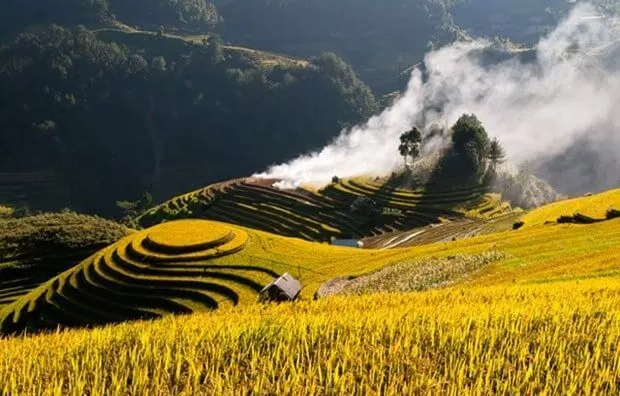 77 Tháng 8 đến Mường Hoa để bước trên “nấc thang thiên đường” mới nhất 12 Mường Hoa