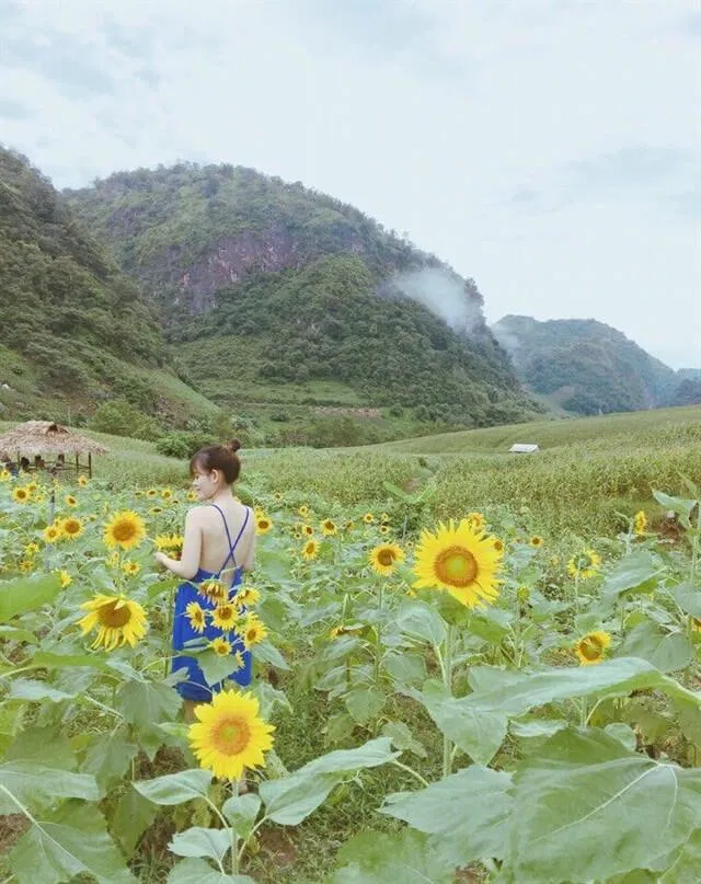 Happy Land