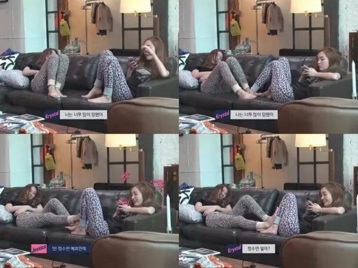 Jessica và Krystal trong truyền hình thực tế của mình (ảnh internet)