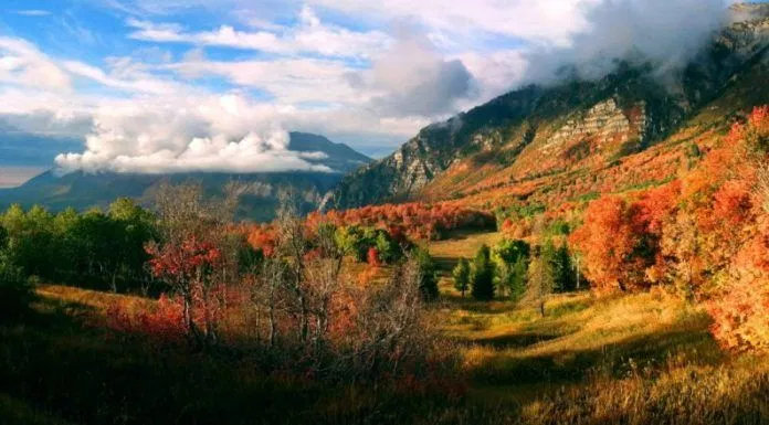 Mùa thu ở Park City (Ảnh: Internet)