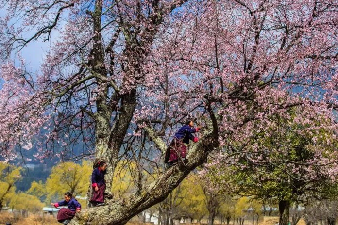 Mùa xuân ở Bhutan