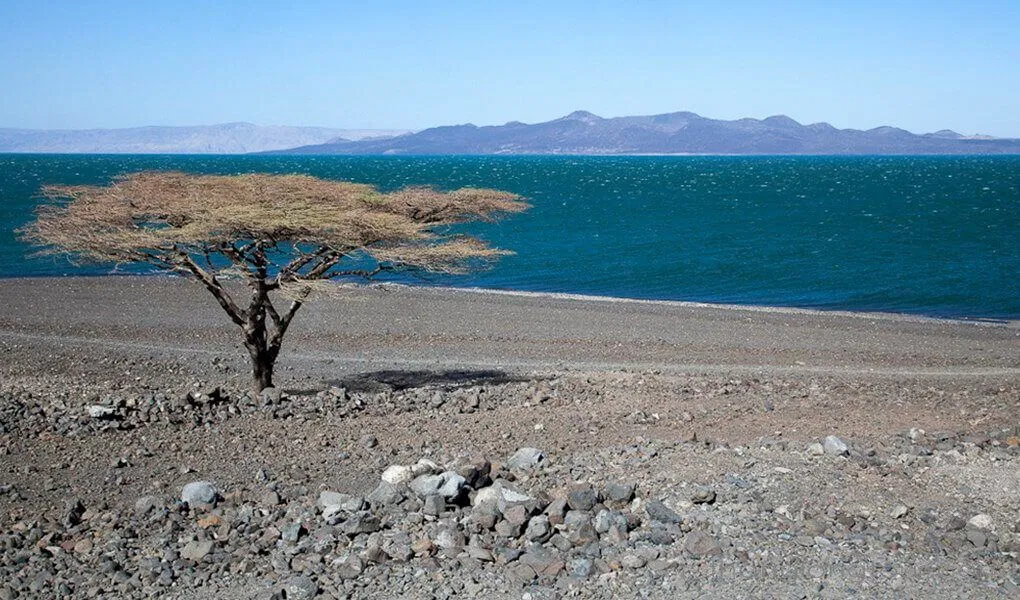 Bên bờ Turkana (Ảnh: Internet)