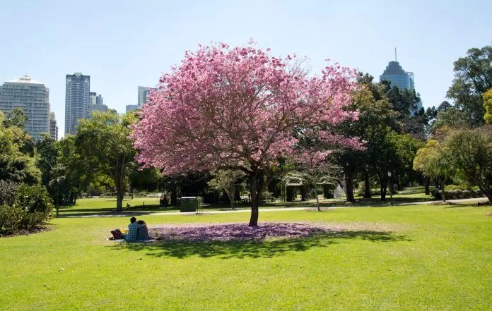 Brisbane City Gardens