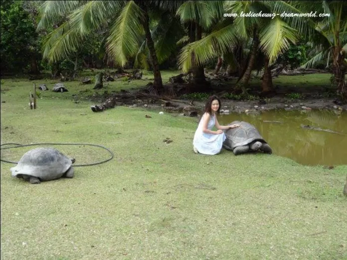 Ngắm chú rùa khổng lồ Aldabra
