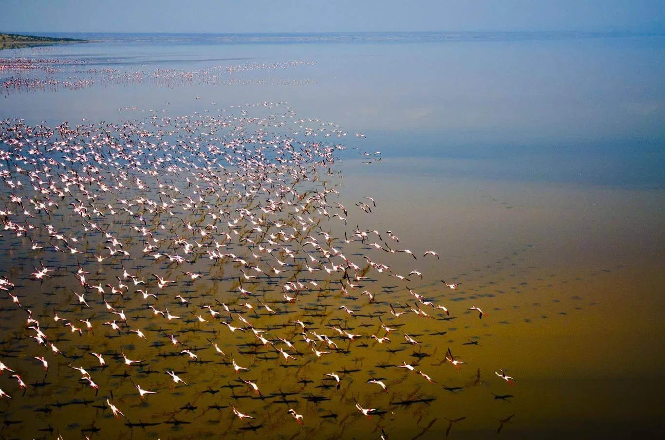 Hồ Natron xanh mát