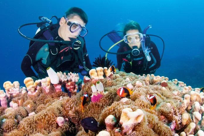 Du khách khám phá rạn san hô quần đảo Whitsunday