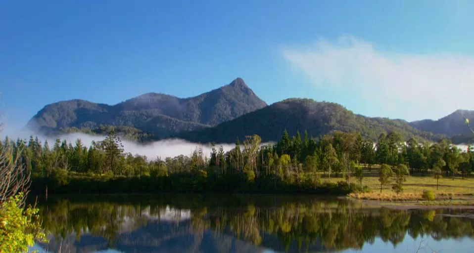 Mount Warning national park