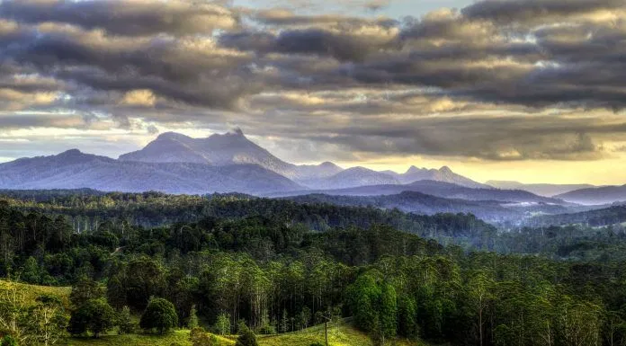Mount Warning National Park