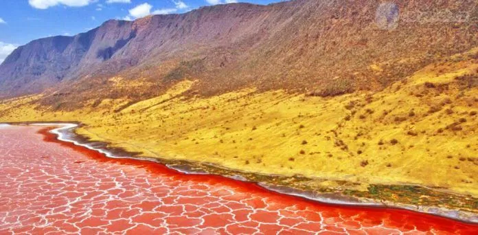 Sắc cam rực rỡ của hồ Natron (ảnh: Internet)