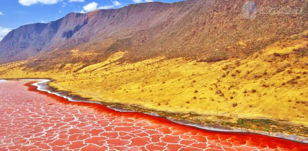 Sắc cam rực rỡ của hồ Natron (ảnh: Internet)