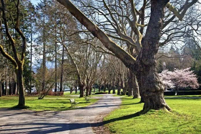 Công viên Stanley Park lớn hơn cả công viên Central Park.
(ảnh: internet)