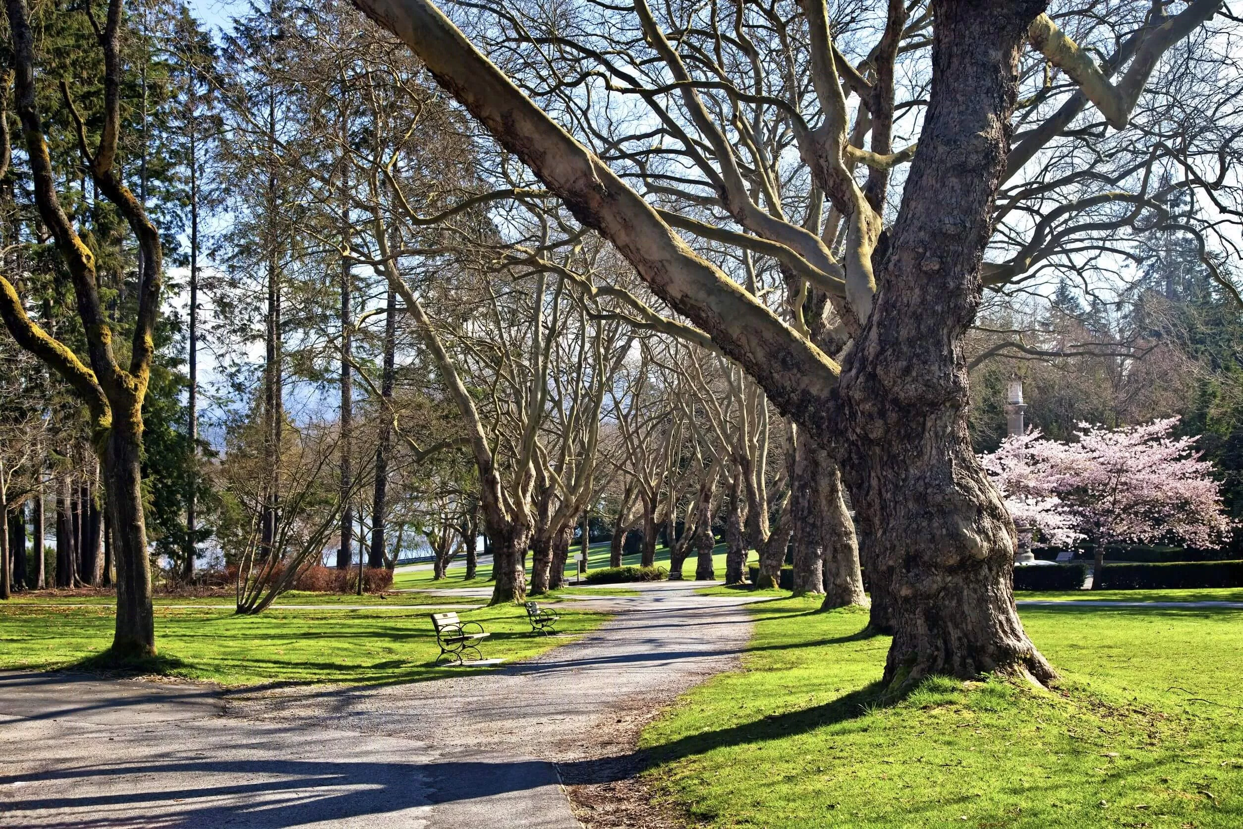 Công viên Stanley Park lớn hơn cả công viên Central Park.  (ảnh: internet)