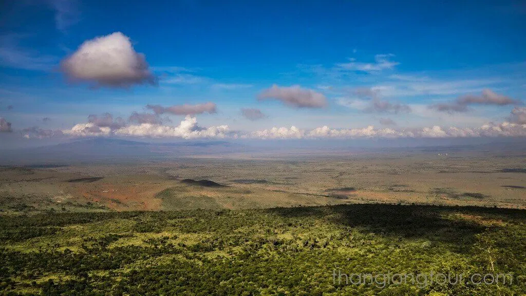 Thảm thực vật phong phú tại Great-Rift (Ảnh: Internet)