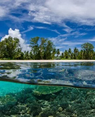 Vườn địa đàng giữa đại dương Seychelles