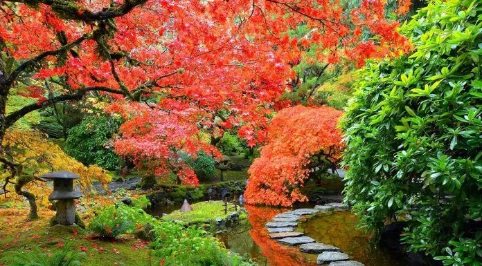 autumn-Japanese-garden