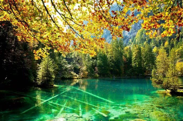 Blausee