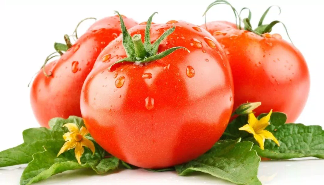 Ảnh tiêu biểu cà chua