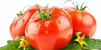 Ảnh tiêu biểu cà chua