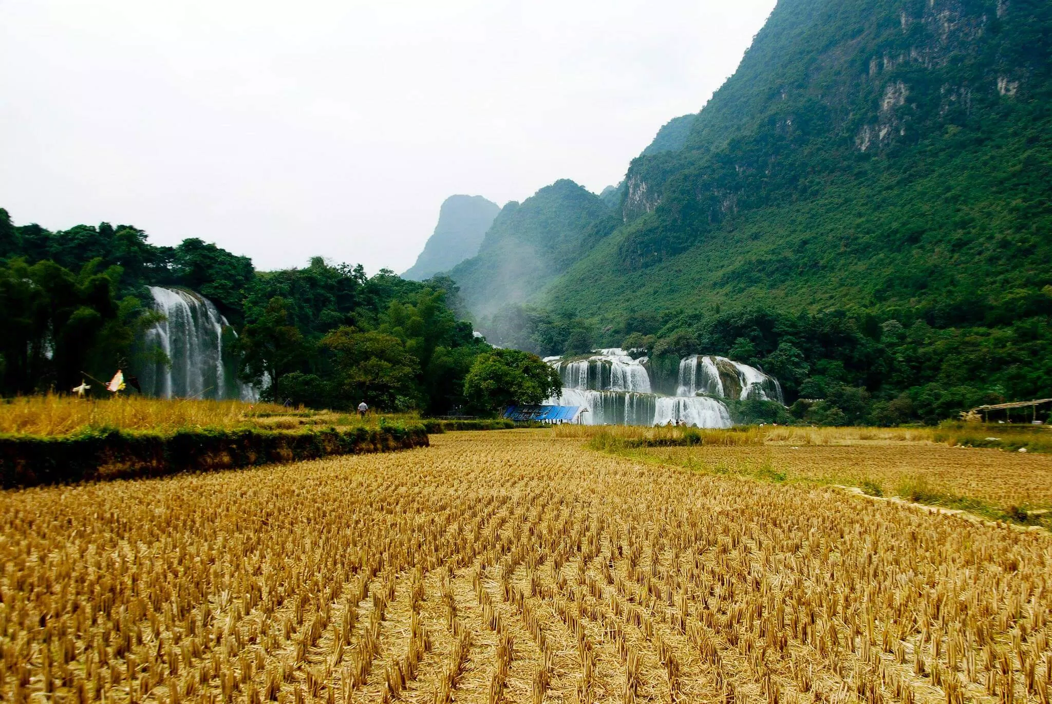 Cánh đồng lúa và thác nước xa xa (Ảnh-Blueriver)