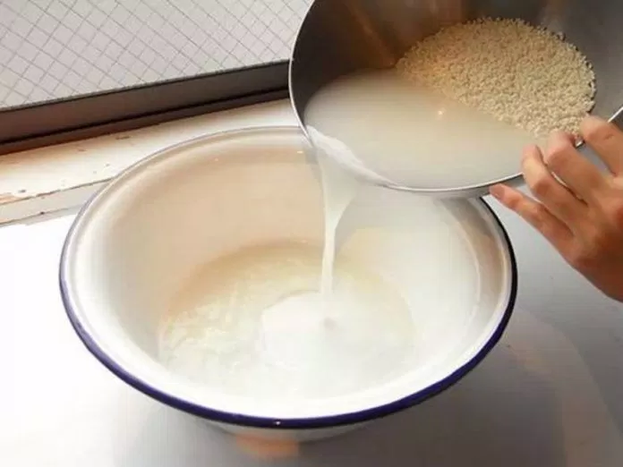 Đổ nước vo gạo ra bát sạch. (ảnh: internet)