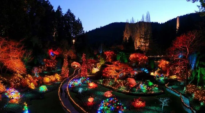 christmas-full-butchart-garden-twilight