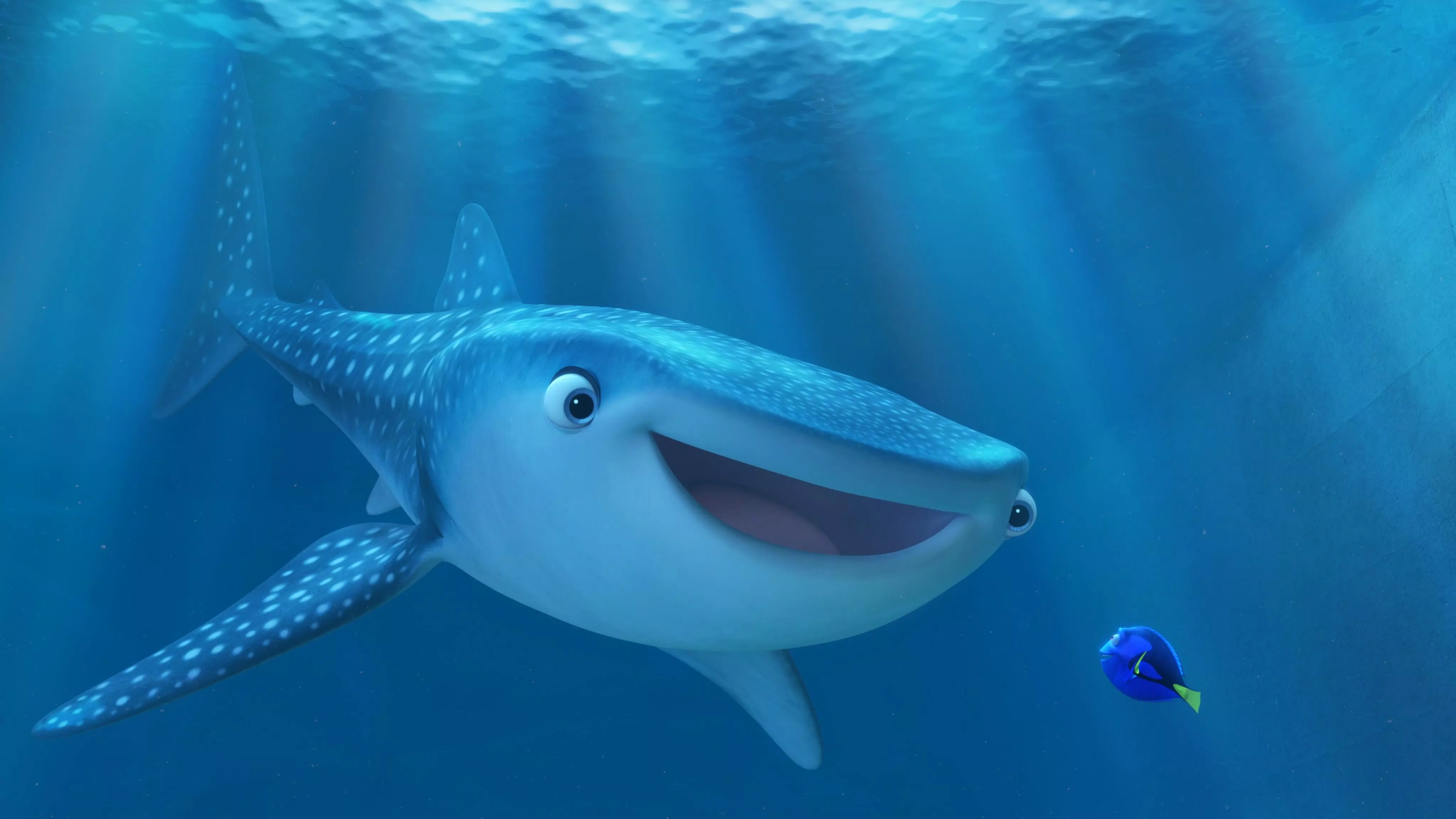 Hành trình đi tìm gia đình của Dory (ảnh: internet)