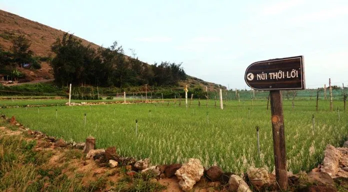 Đường lên đỉnh Thới Lới (Ảnh-Blueriver)