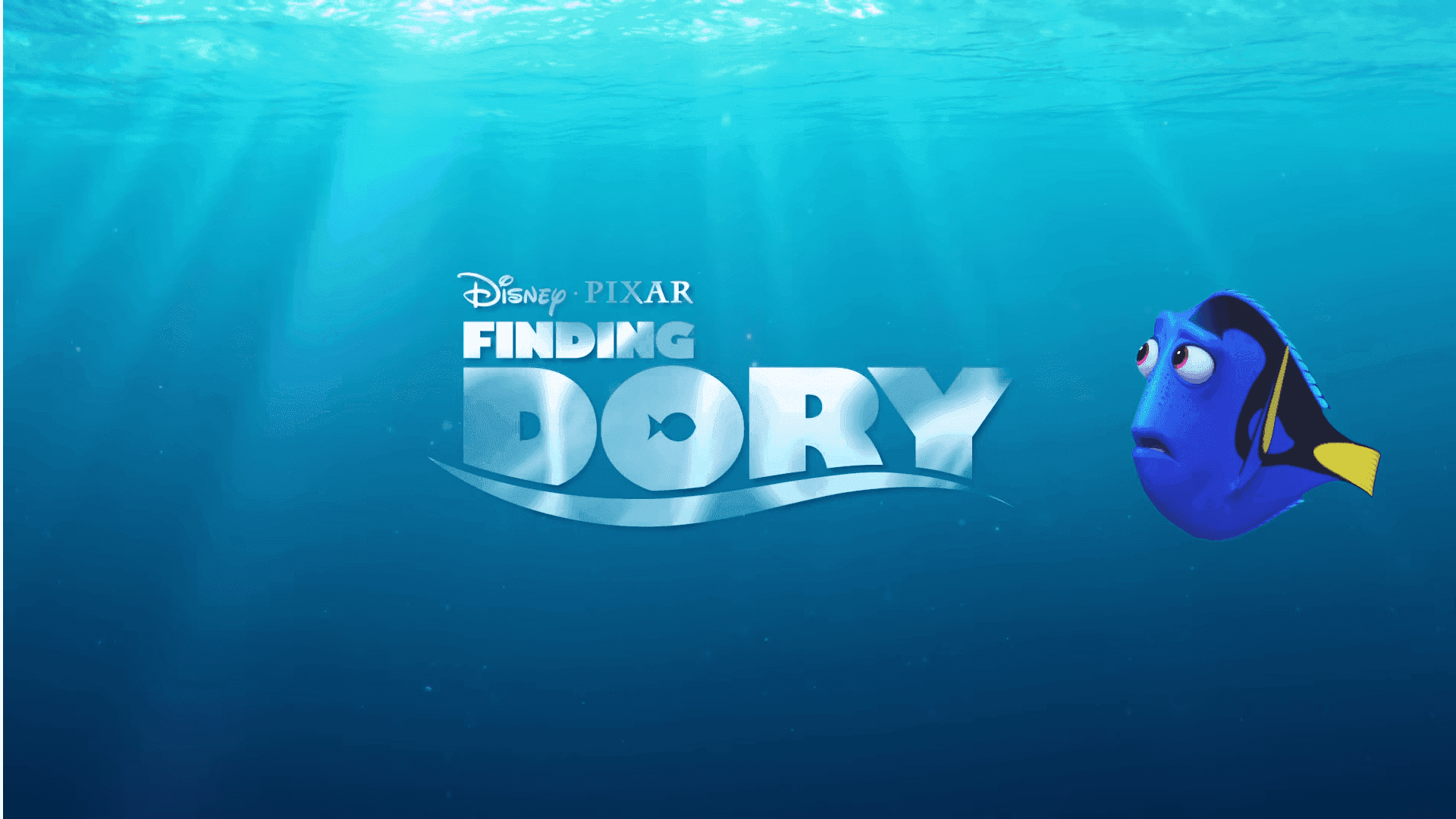 Finding Dory (ảnh: internet)