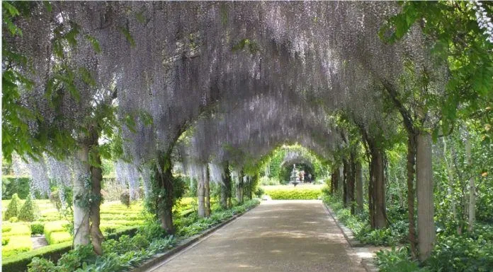 garden brisbane