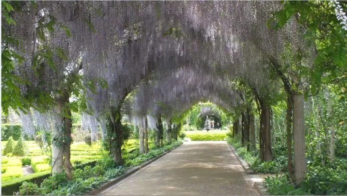 garden brisbane