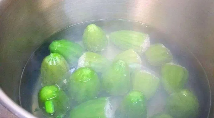 Hầm khổ qua