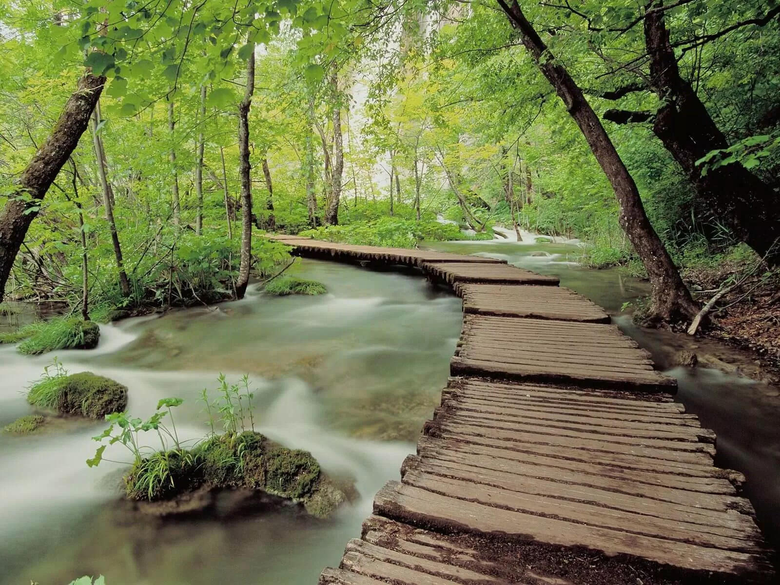 ho-plitvice