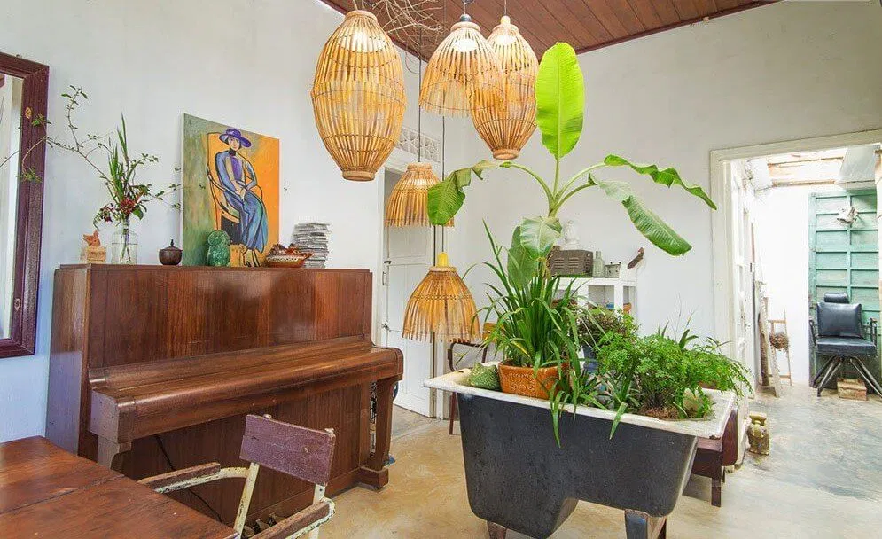 Khu vườn lộ thiên ngay trong căn phòng nhỏ của Tre