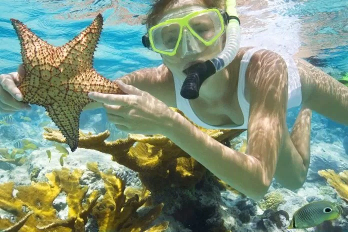  Lặn ngắm san hô ở Hòn Khô (Ảnh internet)