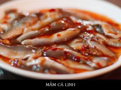 Mắm cá linh (ảnh:internet)