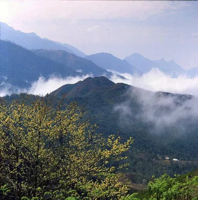 Núi Hàm Rồng