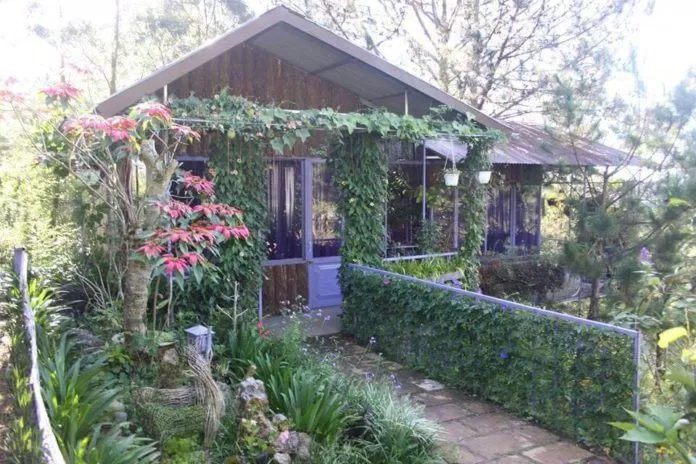 Pine HIll Homestay