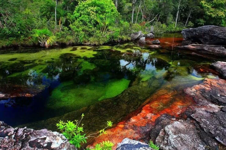 Sông ngũ sắc ở Colombia