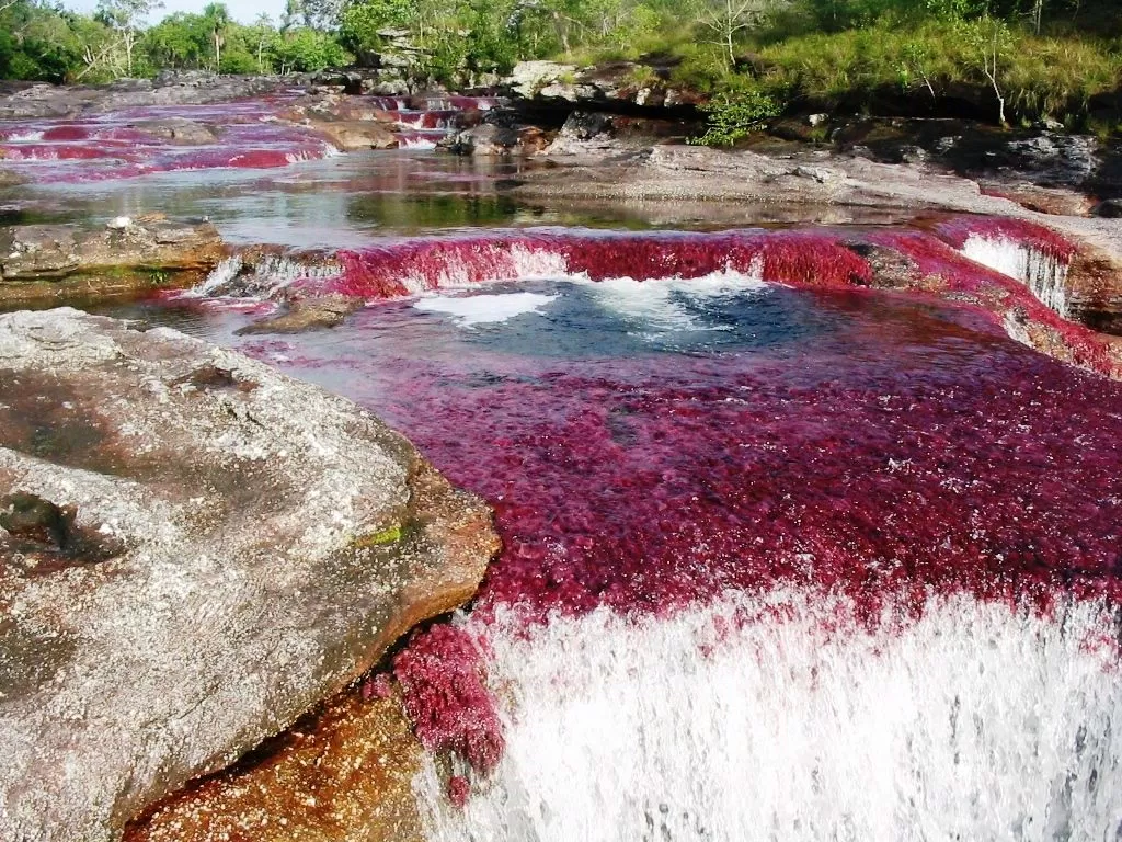 Sông ngũ sắc ở Colombia