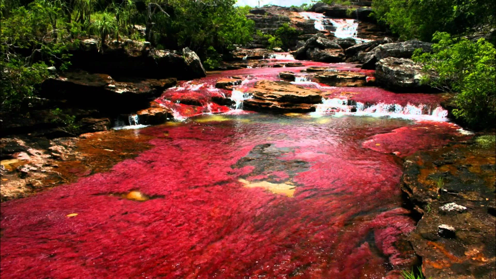 Sông ngũ sắc ở Colombia