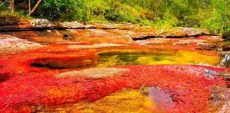 Sông ngũ sắc ở Colombia