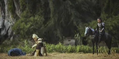Tấm Cám