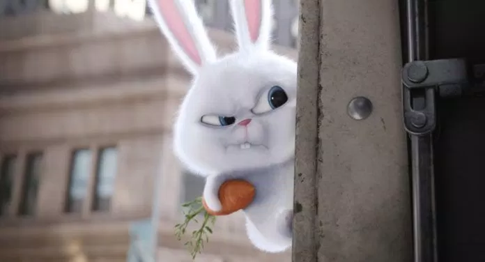 Thỏ Snowball "lừa tình" với vẻ ngoài đáng yêu của mình (ảnh internet)