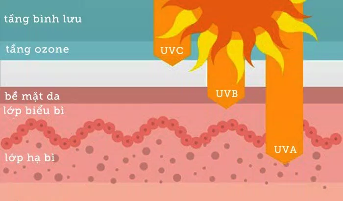 Tia UVA , UVB và UVC