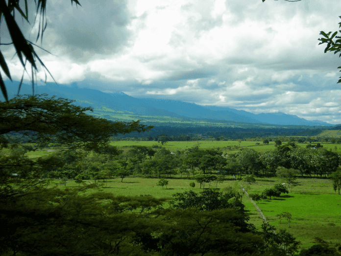 Toàn cảnh Llanos (Ảnh internet)